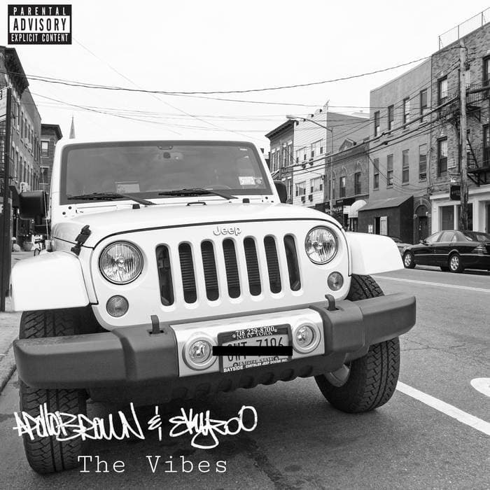 Album cover art for "The Vibes" by Apollo Brown