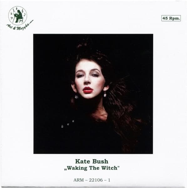 Album cover art for "Waking the Witch" by Kate Bush
