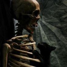 Curiosity’s death