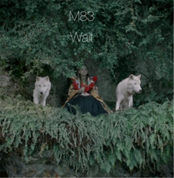 Album cover art for "Wait" by M83