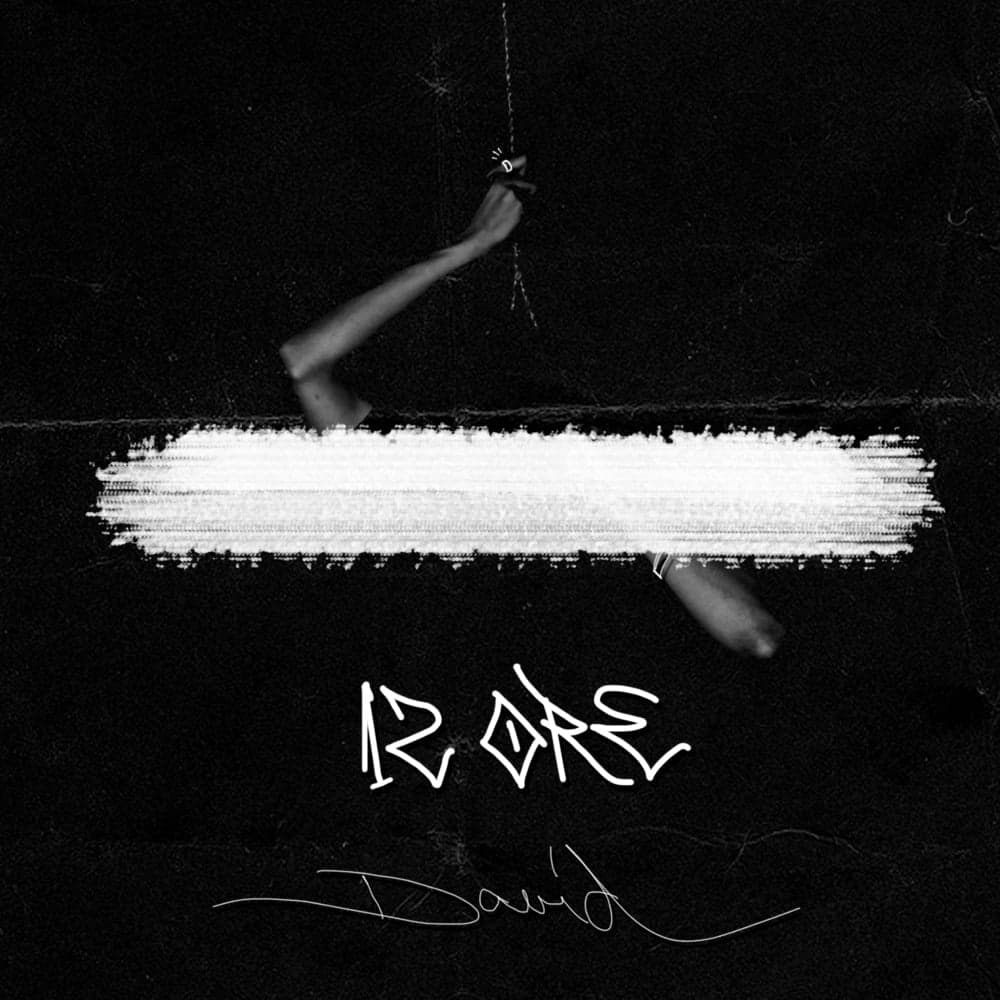 Album cover art for "David - Sunt tot ce o sa fie" by D A V E 66