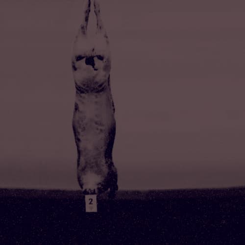 Album cover art for "90s (raw cut)" by E SENS