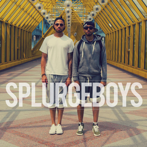 Cover image for Splurgeboys