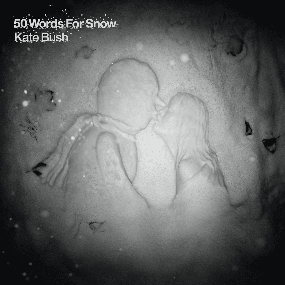 50 Words for Snow cover artwork - Click to view larger Cover image for 50 Words for Snow