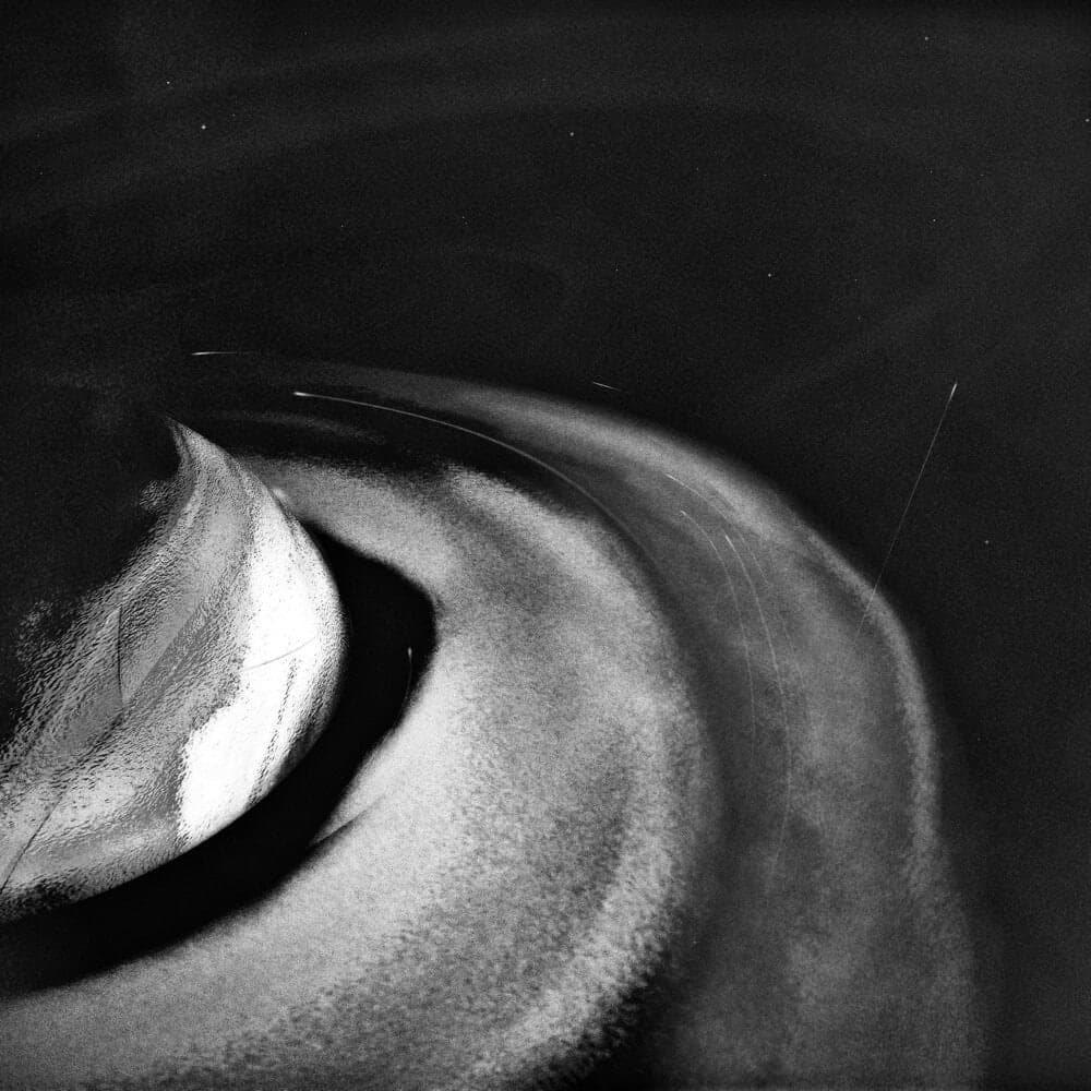 Album cover art for "What They'll Say About Us" by FINNEAS