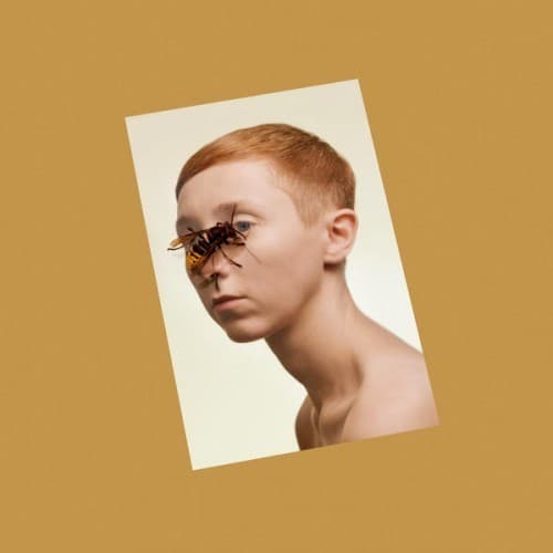 Higher Living Cover Art