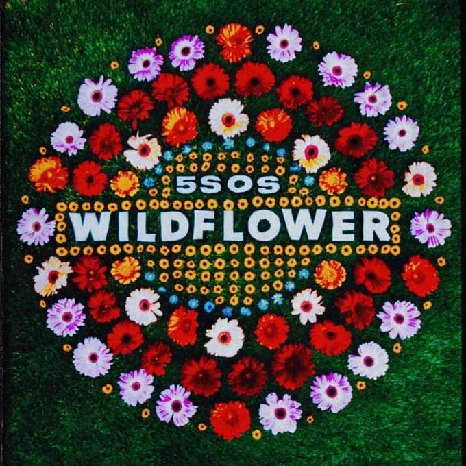 Album cover art for "Wildflower" by 5 Seconds of Summer