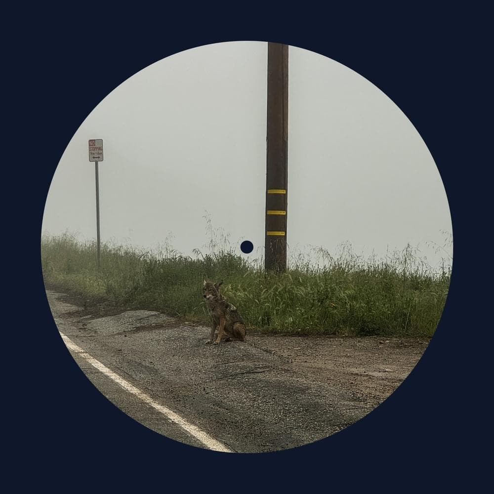 14 minutes (EP) Cover Art