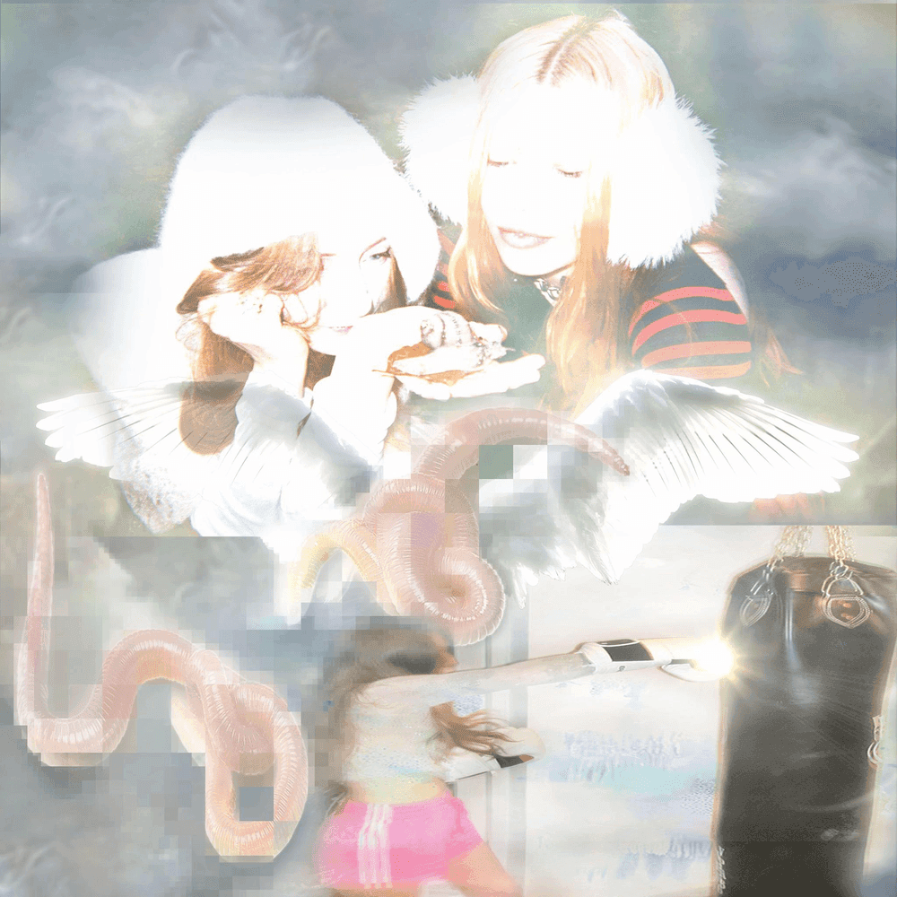 Album cover art for "catch these fists" by Wet Leg