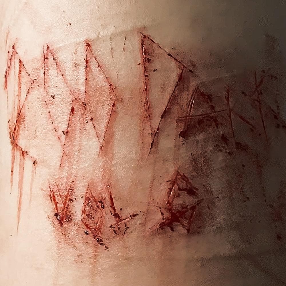 Album cover art for "Snuff (Alt)" by 2ooDark