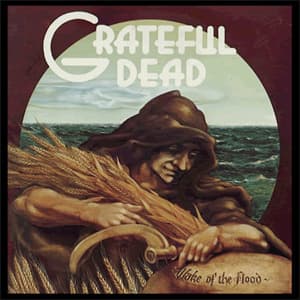 Album cover art for "Stella Blue" by The Grateful Dead