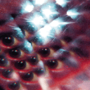 Flash Delirium Cover Art