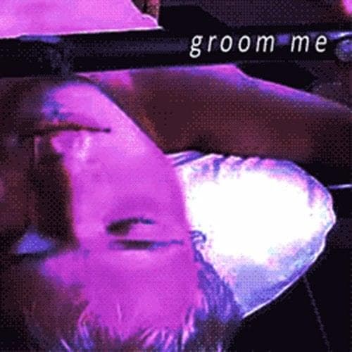 Album cover art for "GROOM ME" by $WAGGOT
