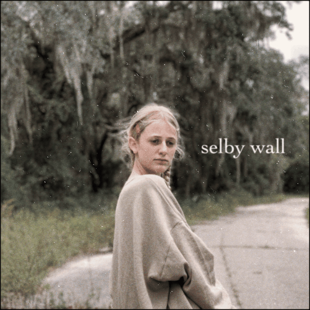Album cover art for "Selby Wall" by Ethel Cain
