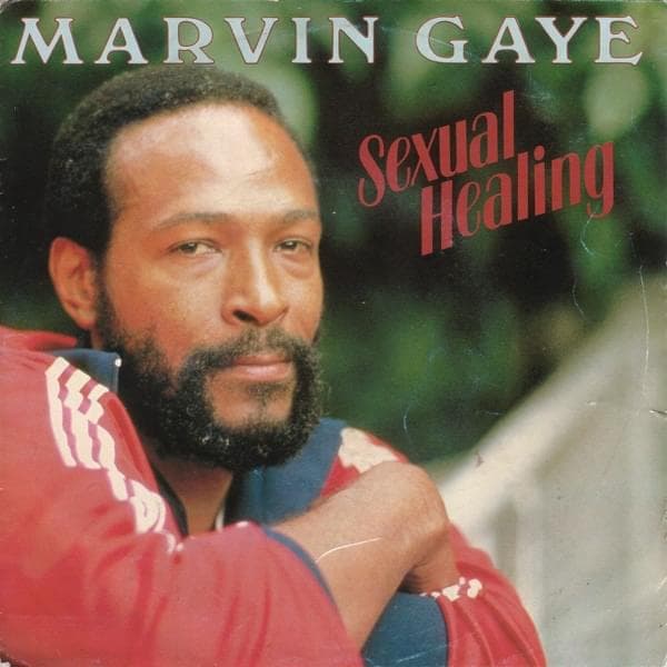 Album cover art for "Sexual Healing" by Marvin Gaye