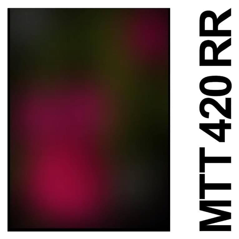 Album cover art for "MTT 420 RR" by IDLES