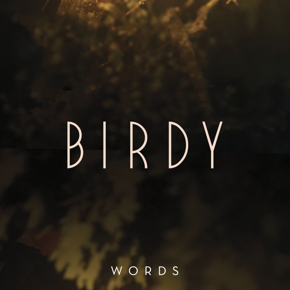 Album cover art for "Words" by Birdy