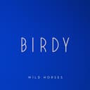 Wild Horses Cover Art