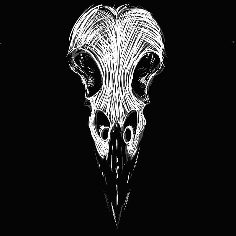 R-A-V-E-N-S-K-U-L-L profile image - Click to view artist page Cover image for R-A-V-E-N-S-K-U-L-L