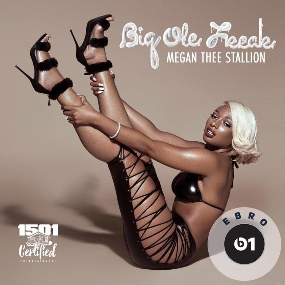 Album cover art for "Big Ole Freak" by Megan Thee Stallion