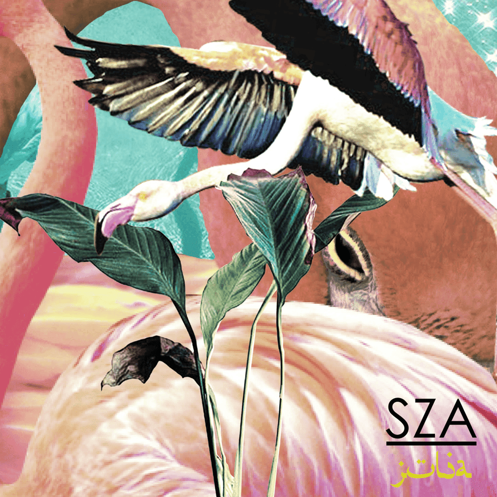 SZA cover artwork - Click to view larger Cover image for SZA