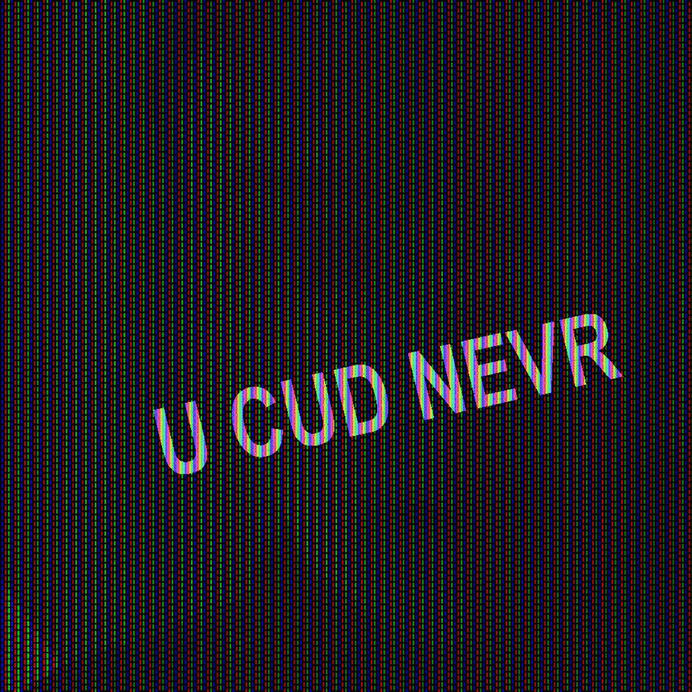 Album cover art for "u cud nevr" by $WAGGOT