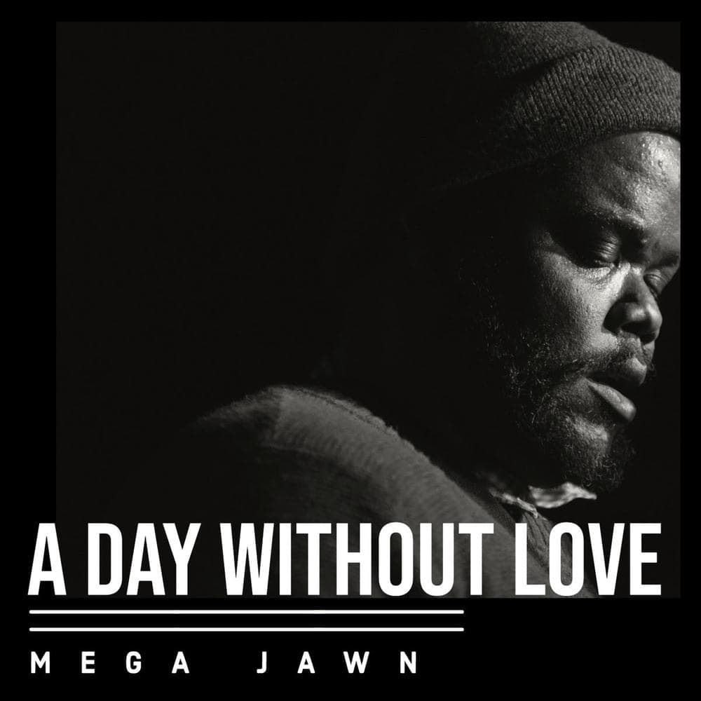 Mega Jawn cover artwork - Click to view larger Cover image for Mega Jawn