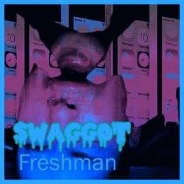 Album cover art for "freshman (piano version)" by $WAGGOT