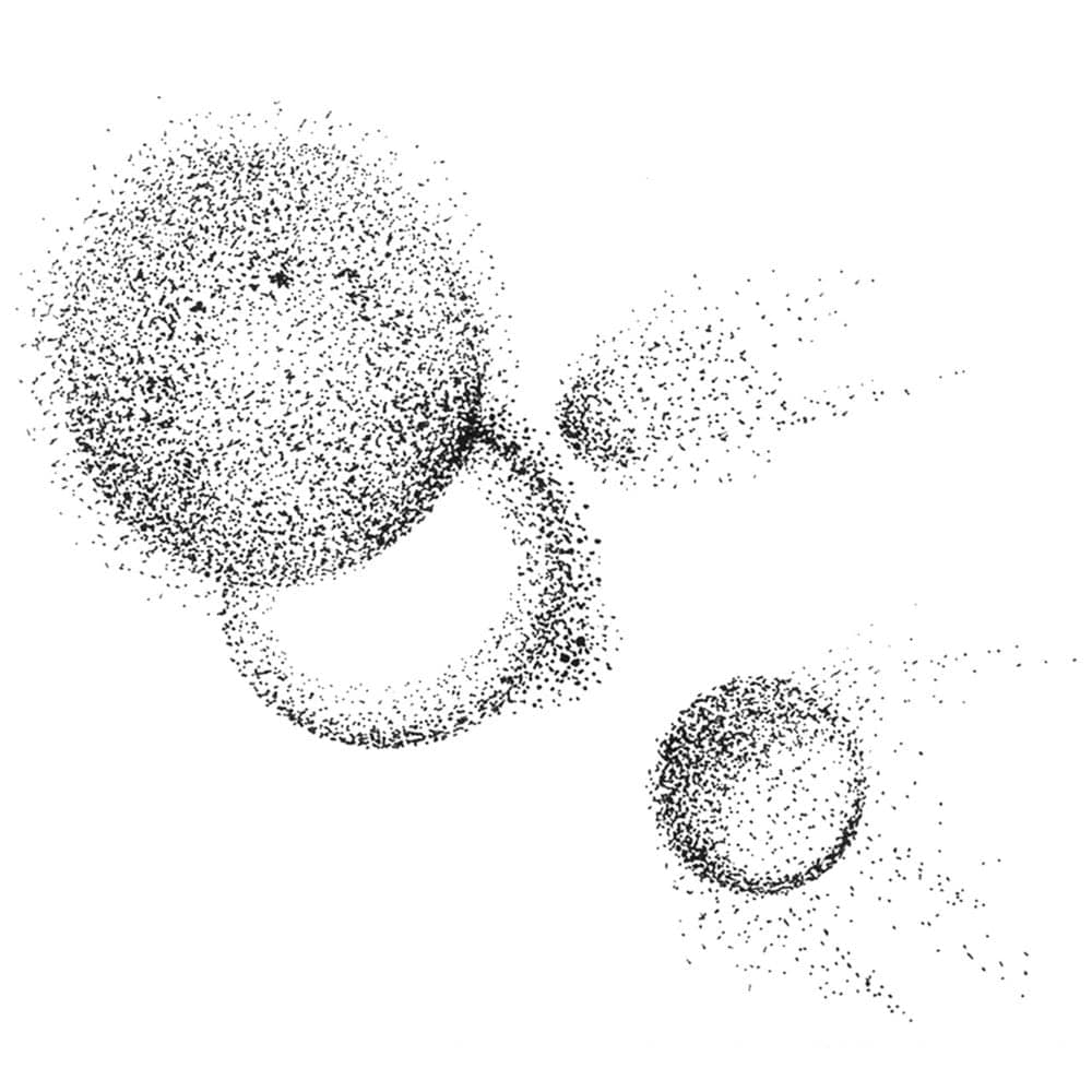 Album cover art for "Hell in Paradise (Warzone)" by Yoko Ono