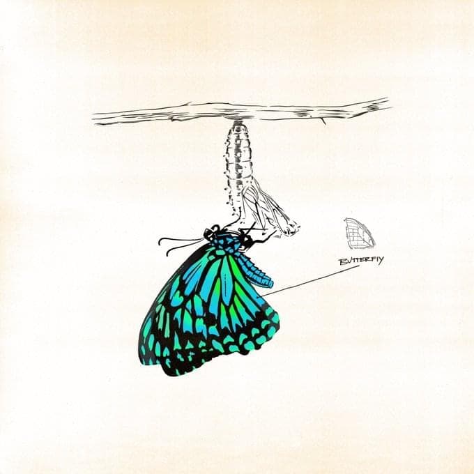 Album cover art for "Butterfly" by Kehlani