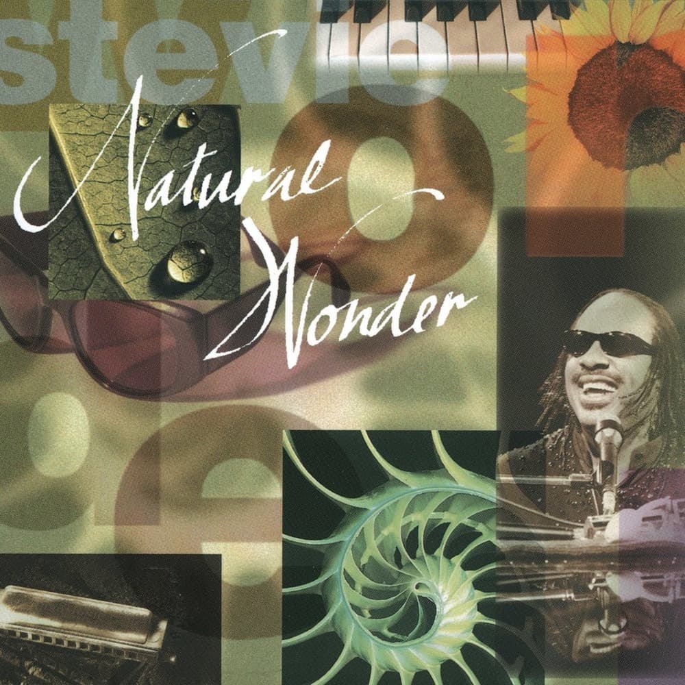 Album cover art for "For Your Love (Live/1995)" by Stevie Wonder