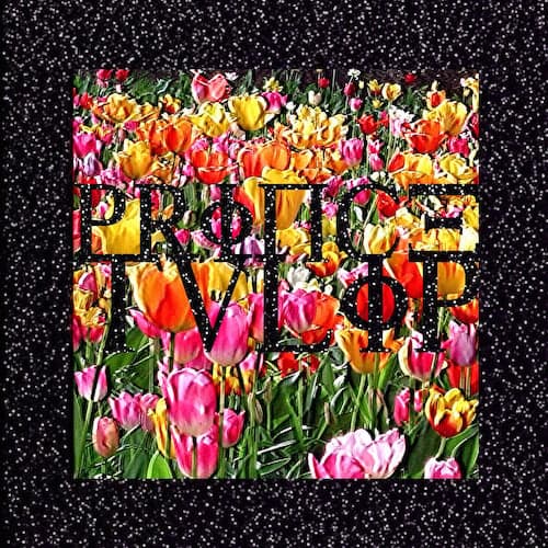 Album cover art for "Prince Tulip" by $uicideboy$