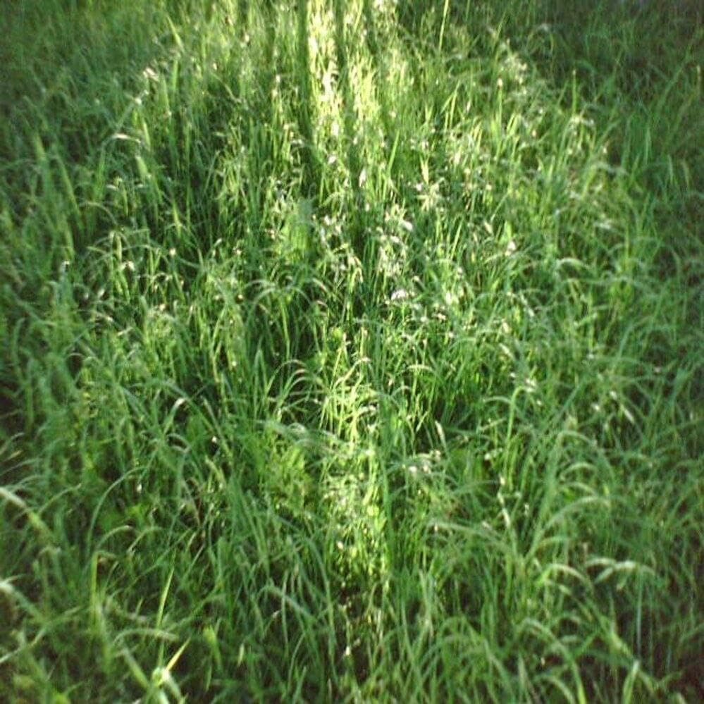 Коллекция старых синглов Ч. 11 (Collection of old singles pt. 11) Cover Art