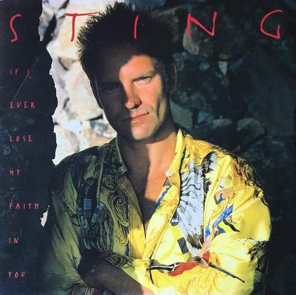 Album cover art for "If I Ever Lose My Faith in You" by Sting