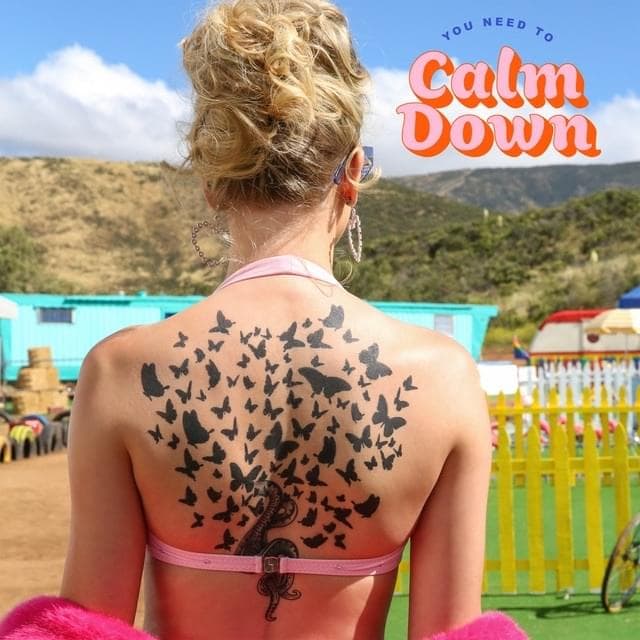 Album cover art for "You Need To Calm Down" by Taylor Swift