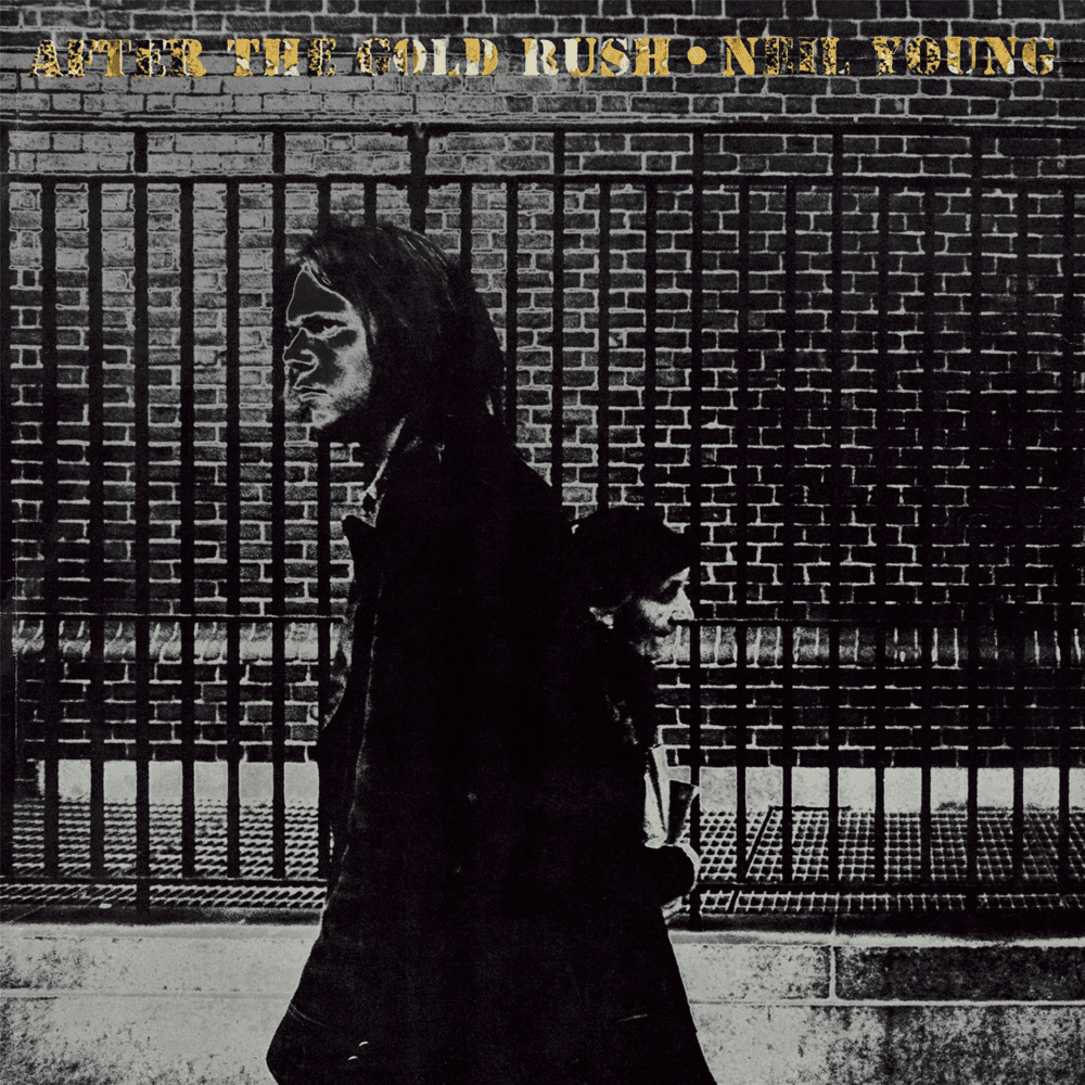 Album cover art for "Southern Man" by Neil Young