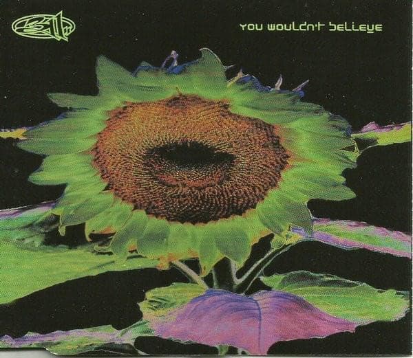 Album cover art for "You Wouldn't Believe" by 311