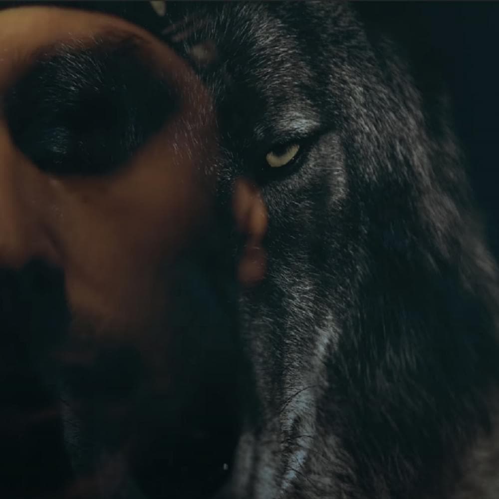 Album cover art for "Mozalan" by Okaber