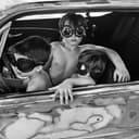 Run for Cover Cover Art