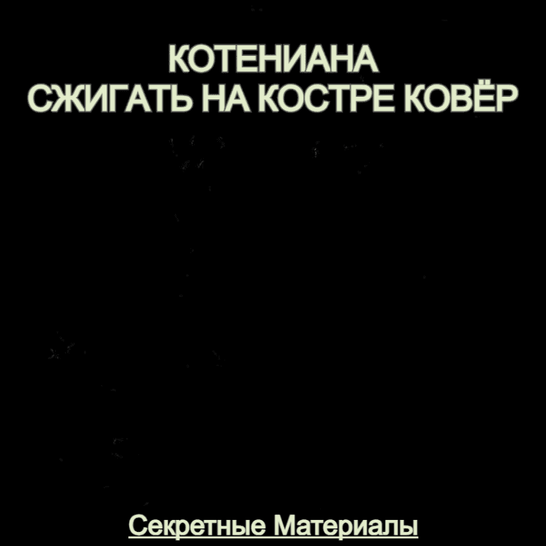 Сжигать на костре ковёр (BACAB) Cover Art