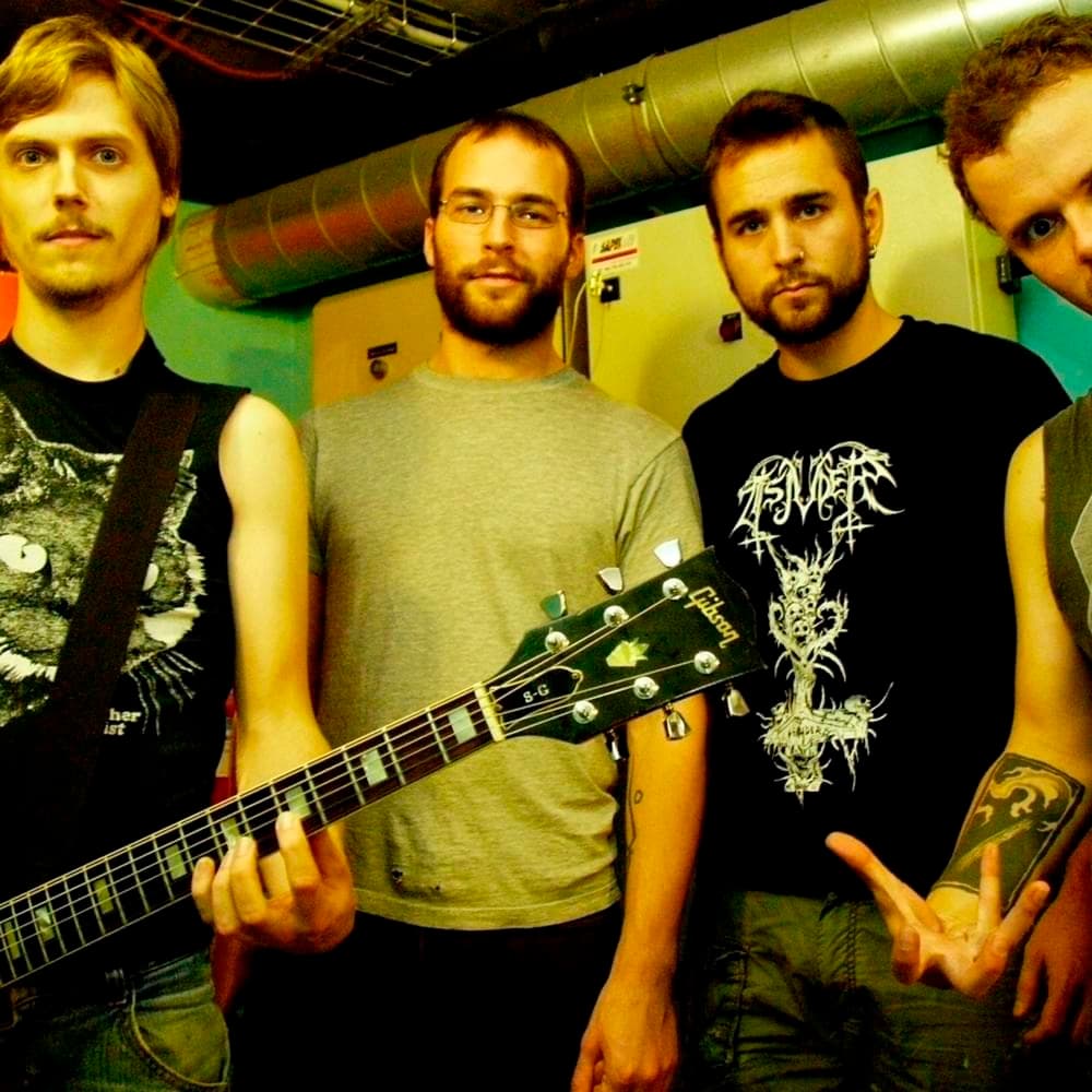 Pelican Profile Picture Photo of Pelican