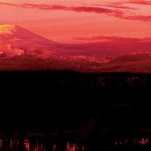 Pelican / Mono Cover Art