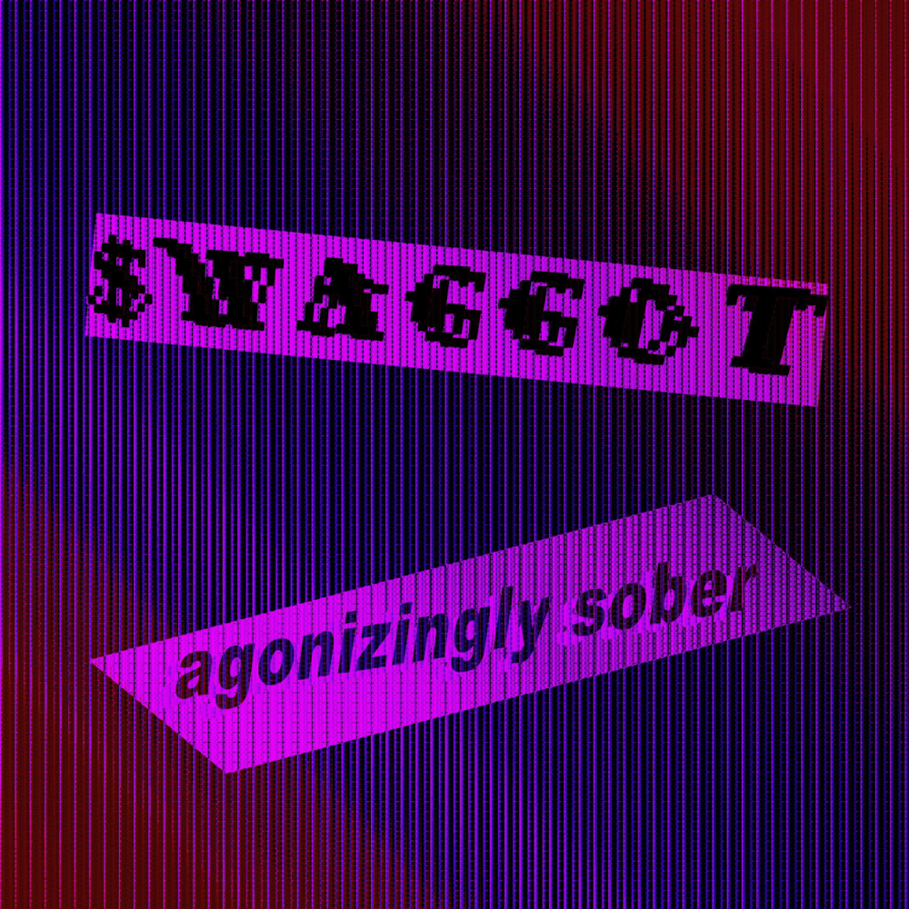 Album cover art for "agonizingly sober" by $WAGGOT