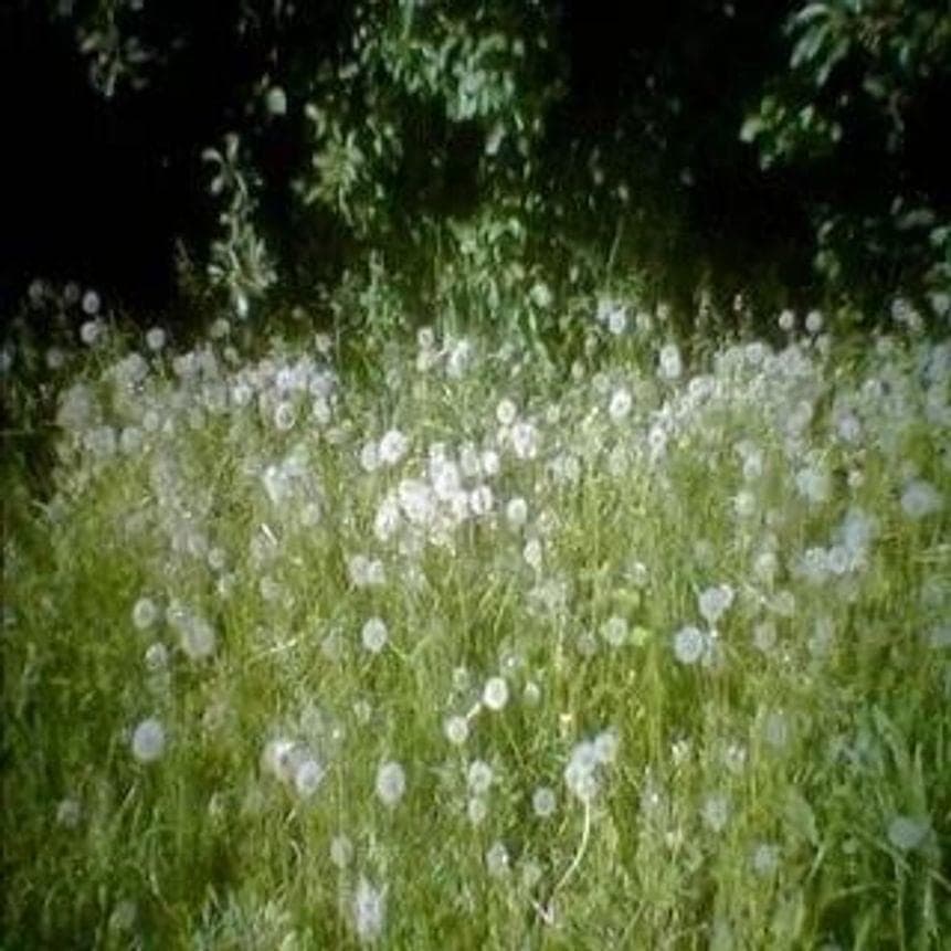 Album cover art for "ты никому не нужен (nobody wants you)" by найтивыход (naytivykhod)