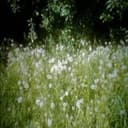 ты никому не нужен (nobody wants you) Cover Art