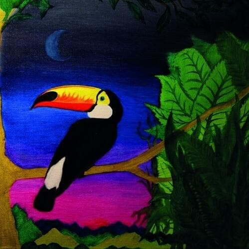 Bird of Paradise Cover Art