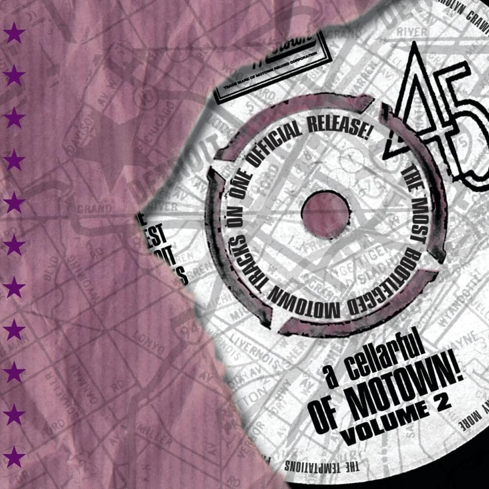 Album cover art for "I Gave Up Quality For Quantity" by Stevie Wonder