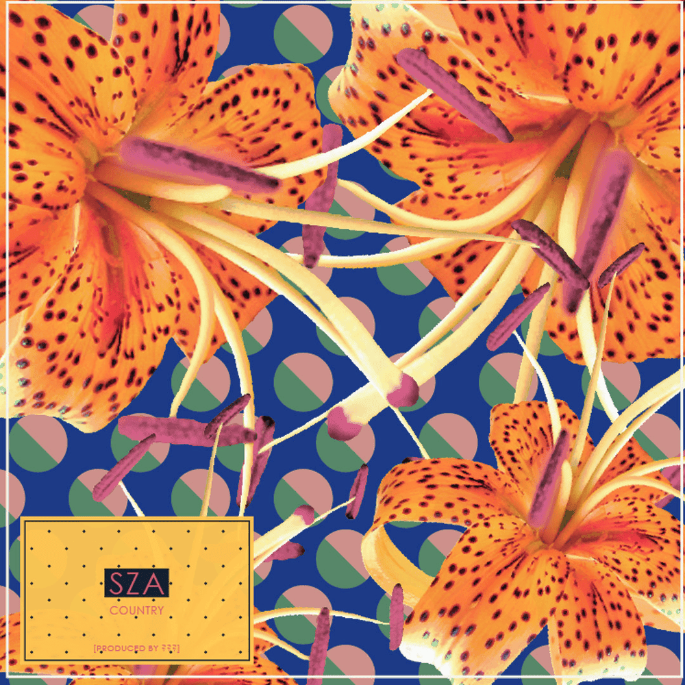 Album cover art for "Paramız Yok" by SZA