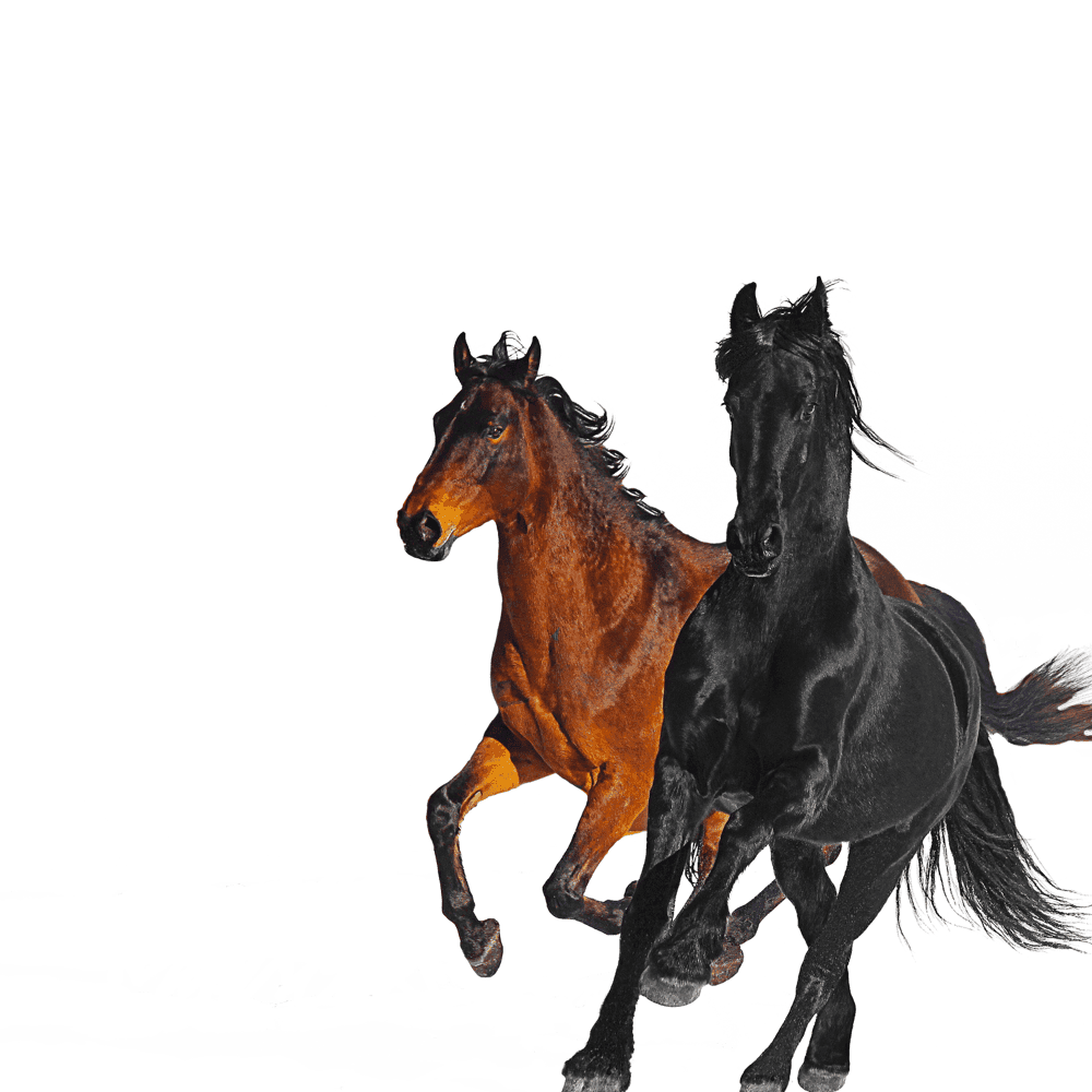 Album cover art for "Old Town Road (Remix)" by Lil Nas X & Billy Ray Cyrus