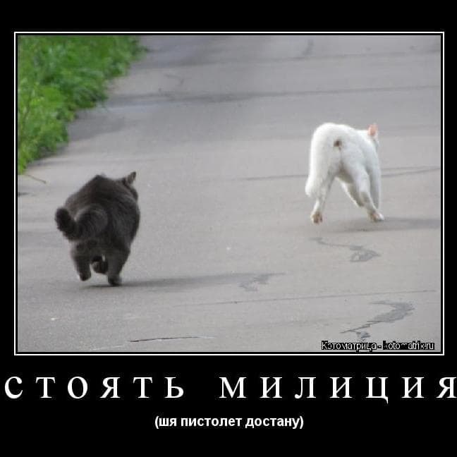 стоять милиция (ща пистолет достану) (sup) (gtgmg) cover artwork - Click to view larger Cover image for стоять милиция (ща пистолет достану) (sup) (gtgmg)